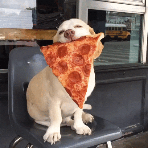 Dog Pizza Dog Pizza